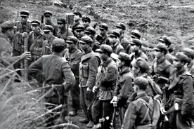79年对越作战，50军的主力师被俘200多人、失散500人，如何处罚？图片