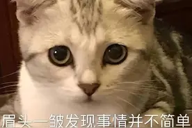 胎儿无声的危机：地中海贫血图片