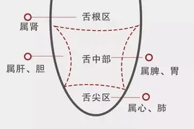 脾虚者，此处必有凹陷，记住一个中成药，脾胃一天比一天好图片