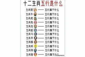 金木水火土，十二生肖五行，对照一下，你属于哪一种？图片