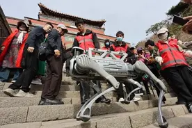 泰山“机器狗”火到海外？华春莹点赞！网友：有个大胆的想法……图片