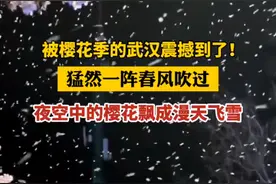 日本开不出樱花，武汉却樱花成片，网友：樱花只会在英雄城市盛开图片