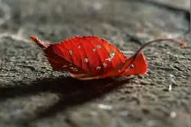亲家第一次见面，都要留这三个心眼，不然会吃大亏，务必要谨记图片