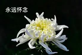 亲人离世后的几个手续图片