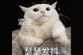 骨折后，三分治，七分练！4个锻炼动作，让上肢加速康复图片