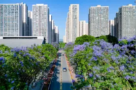 限定款蓝紫色街头已上线！快来科学城邂逅这初夏的浪漫吧~图片
