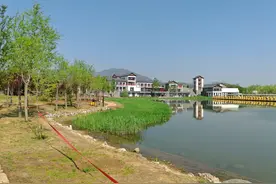 “我在桥上看风景，看风景的人在楼上看你”这句话的后面是：图片