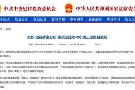 贵州：加强类案分析，系统治理农村小微工程项目腐败图片
