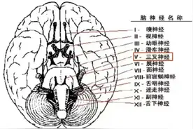 全国疼痛防治镇痛周 | 天下第一痛，愿你永不遇到图片