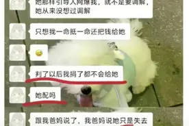 网传重庆胖猫女友道歉视频真实性引质疑，网友呼吁律师介入图片