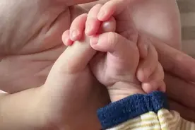 知名女星宣布生子图片