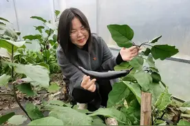 会直播能导戏！ 益阳一村妇联主席开启短视频达人之旅图片