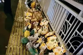 “胖猫”殉情，人世间的丑恶应该为他殉葬！图片