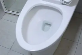若是小便里的泡沫变多，也许是肾脏受损了，以后要少吃这2种食物图片