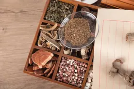 倪海厦：再厉害的胃病，也怕这七味药，慢性胃炎，反酸烧心都能用图片