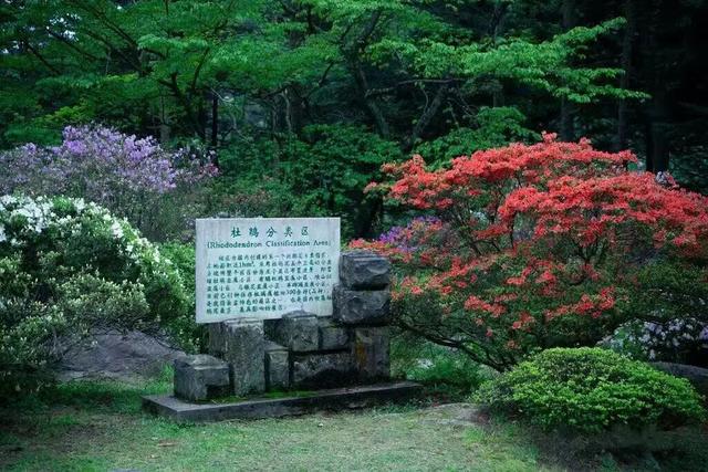 来庐山，逛春山 | 五月精彩不停歇！这份庐山超全文旅活动攻略请收好~