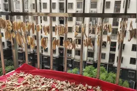 关于我母亲总气我这件事，为什么她们不能活得轻松一点呢？图片