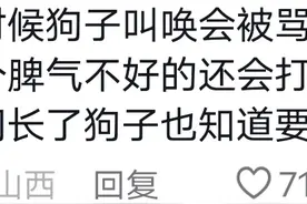 山西的午睡文化有多强！只是没想到，已经到了不分物种的地步！图片