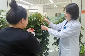 乌鲁木齐市友谊医院第四例人工心脏患者家属，与医生一起植下“心愿树”图片