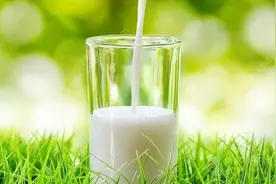 牛初乳：大自然的恩赐，天然的营养宝库图片