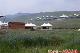 来抓喜秀龙 品藏乡风光图片