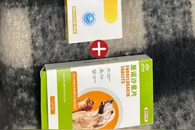 我家狗狗子宫蓄脓，竟被这个组合治好了！图片