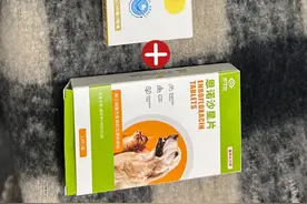 我家狗狗子宫蓄脓，竟被这个组合治好了！图片