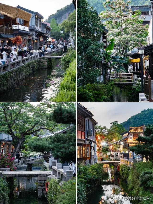 这条老街，我把它评为温州历史街区的“天花板”