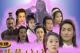 保镖之翡翠娃娃二十大高手排名，神医梅退之傲世群雄图片