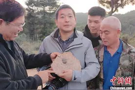 云南麒麟：发现2.7亿年前的瓣齿鲨牙齿化石图片
