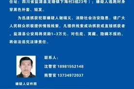 四川盐源发生一起重大刑案！嫌疑人潜逃，警方发布悬赏通告图片