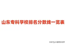 山东专科学校排名分数线一览表（含前十名，2024参考）图片