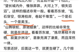 公知又跳出来了，巜沁园春.雪》在两宋词坛就是下品图片