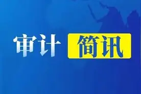 审计简讯图片