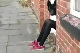 每日一笑，41张搞笑图片，你能忍住不笑吗？图片