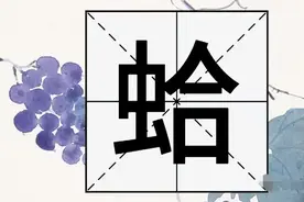 "蛤蜊"的"蛤"不读hā，也不读gě，它的正确读音是？图片