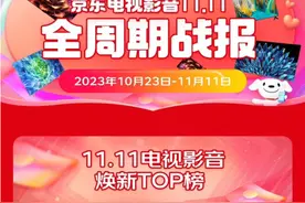 “双11”彩电战报出炉：国产电视出彩 TCL斩获多项第一图片