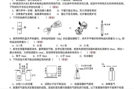 初中中考化学基础易错选择题100道图片