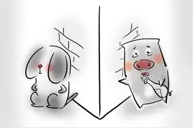 发现没有，很多离过婚的女人，最后还是找了前夫复合图片
