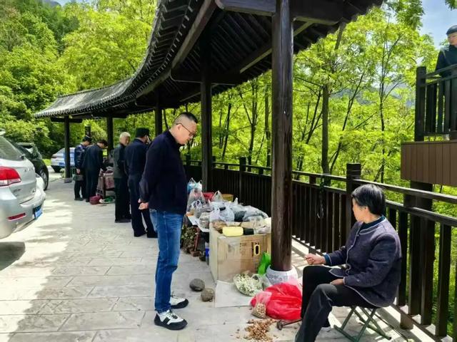 立夏初启 恰逢归期 云屏山水不负相逢