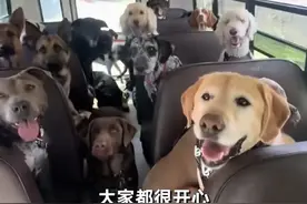 又刷了我的三观，毛孩子竟然有这么好的幼儿园图片