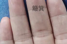 “斗”和“簸箕”图片