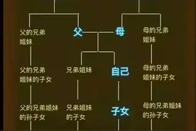 政审查三代，原来是这三代，整理清楚，一目了然，简单易懂图片