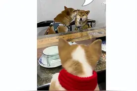 情侣接吻，为什么不嫌对方的口水臭啊？图片