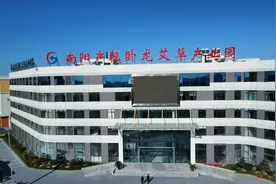 南阳市卧龙区：艾草产业创新发展起高峰图片