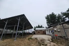 太奇怪了！江苏、湖北两个姜萍竟然有惊人的相似之处图片
