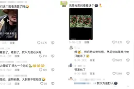 揭秘哀牢山“禁区”背后：百万网红带货，究竟在卖什么？图片