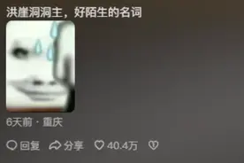 涨知识了，原来洪崖洞是私人的，“洪崖洞洞主”真的好小众又陌生图片