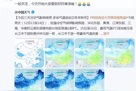 中雪、雨夹雪……西安下一轮雨雪时间定了！西安热电供热有限公司通知……图片