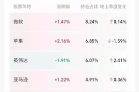 美股“七姐妹”市值、市盈率及内在魅力。图片